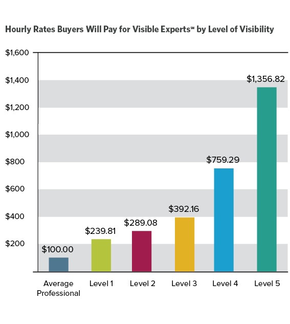Hourly Rates for Visible Experts