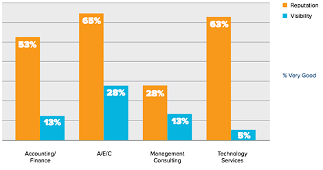 Reputation vs. Visibility Chart