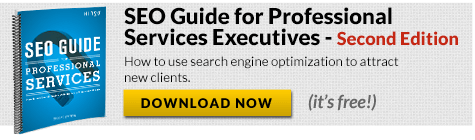seo guide for professional services
